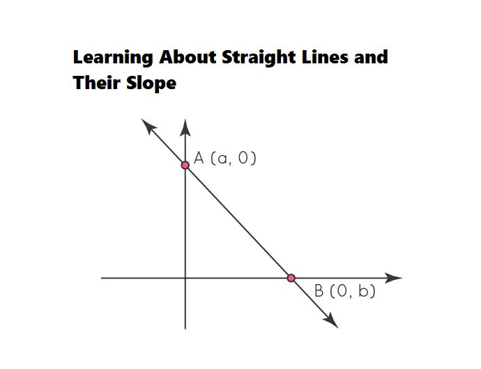 Learning About Straight Lines and Their Slope