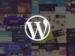10 WordPress Themes With Hosting Options For Better Performance