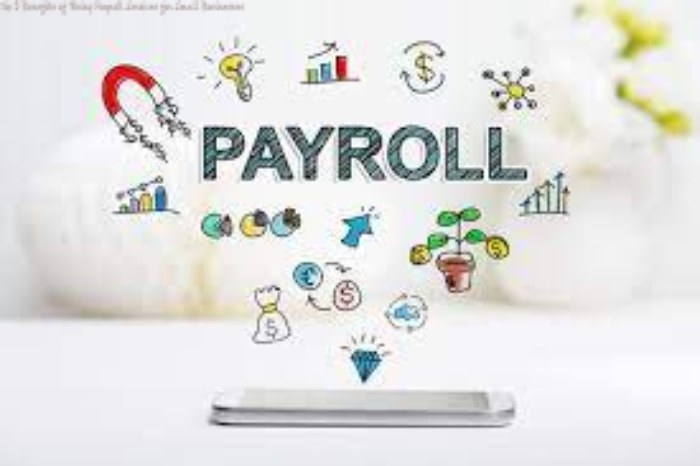 Top 5 Benefits of Using Payroll Services for Small Businesses